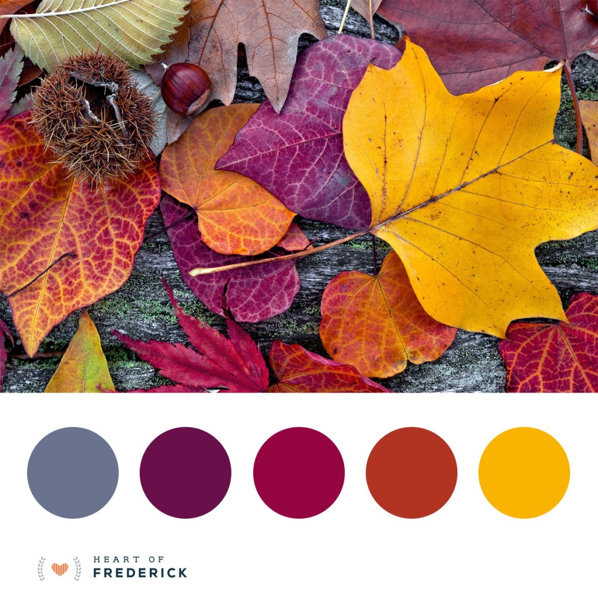 Beautiful Fall Leaves | Color Palette – FrederickWeddings.com